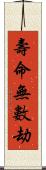 壽命無數劫 Scroll