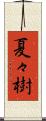 夏々樹 Scroll