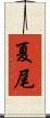 夏尾 Scroll