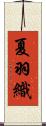 夏羽織 Scroll