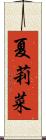 夏莉菜 Scroll