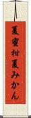 夏蜜柑 Scroll