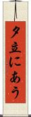 夕立にあう Scroll