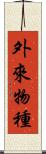 外來物種 Scroll
