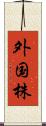 外国株 Scroll