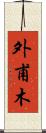 外甫木 Scroll