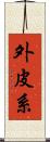 外皮系 Scroll