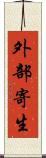 外部寄生 Scroll