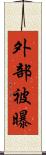 外部被曝 Scroll