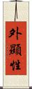 外顯性 Scroll