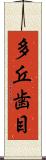 多丘歯目 Scroll