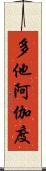 多他阿伽度 Scroll