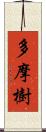 多摩樹 Scroll