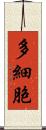 多細胞 Scroll