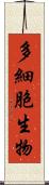 多細胞生物 Scroll