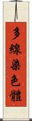 多線染色體 Scroll