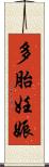 多胎妊娠 Scroll