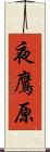 夜鷹原 Scroll