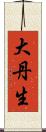 大丹生 Scroll