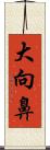 大向鼻 Scroll