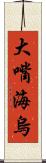 大嘴海烏 Scroll