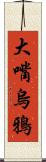 大嘴烏鴉 Scroll