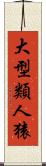 大型類人猿 Scroll