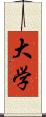 大学 Scroll