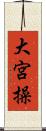 大宮操 Scroll