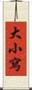 大小寫 Scroll