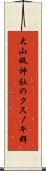 大山祗神社のクスノキ群 Scroll