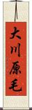 大川原毛 Scroll