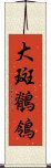 大斑鶺鴒 Scroll