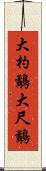 大杓鷸 Scroll