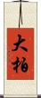大柏 Scroll
