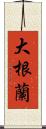 大根蘭 Scroll