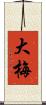 大梅 Scroll
