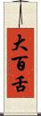 大百舌 Scroll