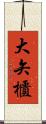 大矢櫃 Scroll