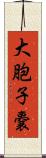 大胞子嚢 Scroll
