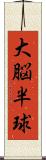 大脳半球 Scroll