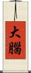 大腦 Scroll