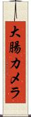 大腸カメラ Scroll