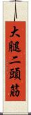 大腿二頭筋 Scroll