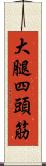 大腿四頭筋 Scroll