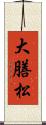 大膳松 Scroll