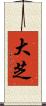 大芝 Scroll