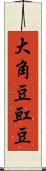 大角豆 Scroll