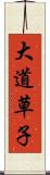 大道草子 Scroll