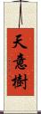 天意樹 Scroll